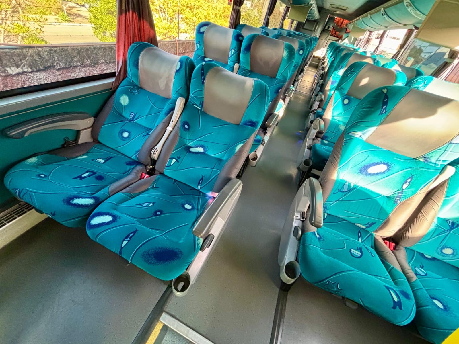 paradiso gvii1200-scania (10)